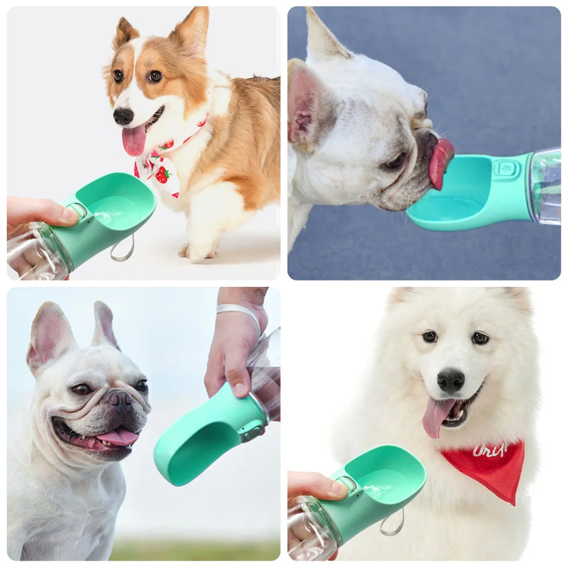 Bouteille d'eau portable pour animaux avec bol intégré