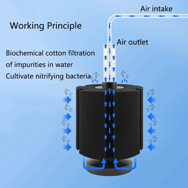 Diagram showing the working principle of an aquarium bio sponge filter where air intake drives water flow through nitrifying 