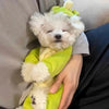 Cozy Fleece Dog Hoodie with Playful Animal Design