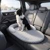 A black and white dog is sitting on a gray cooling ice silk pet mat inside a car.