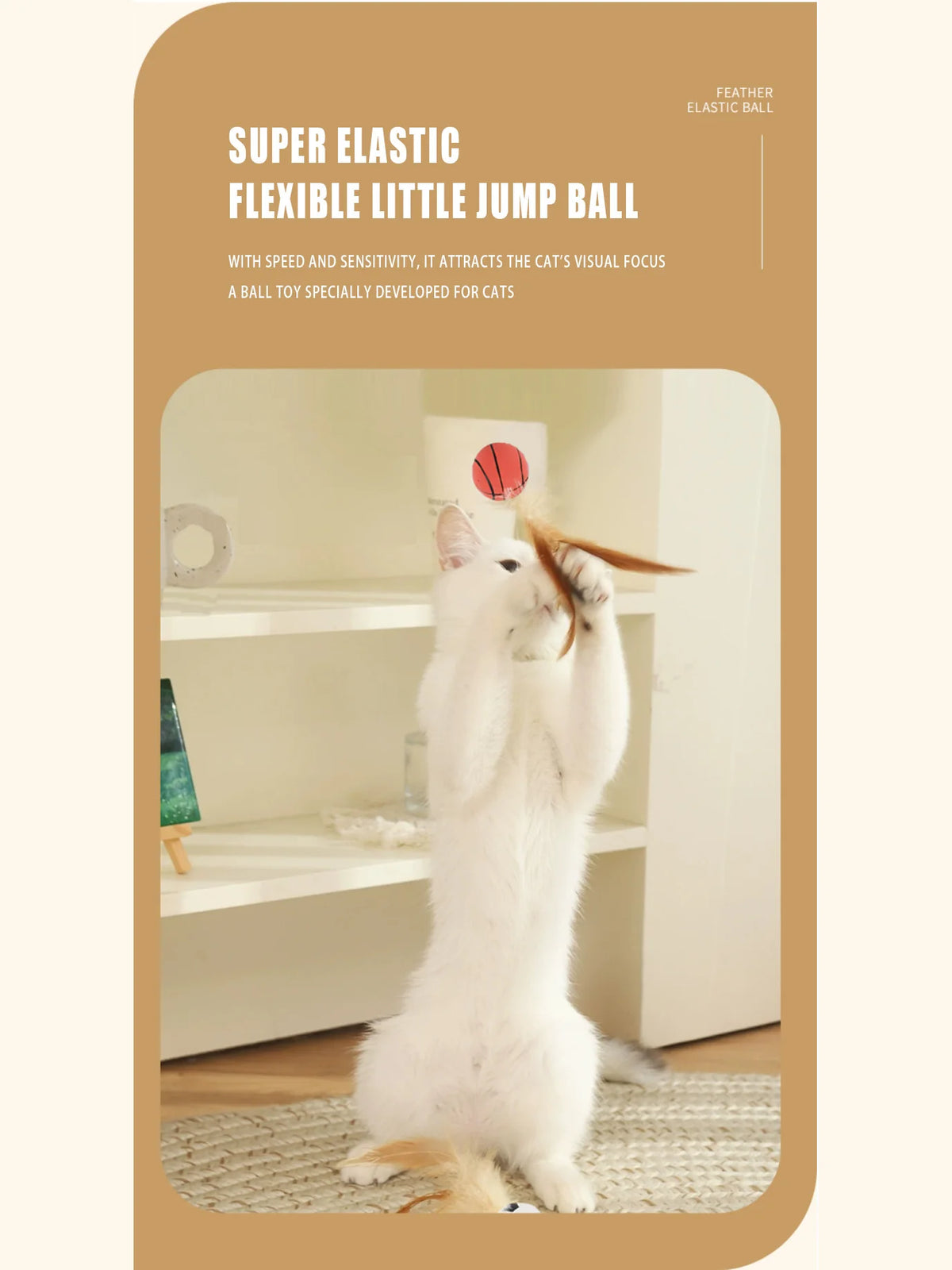 A white cat is playing with a red ball toy in a bright indoor setting.