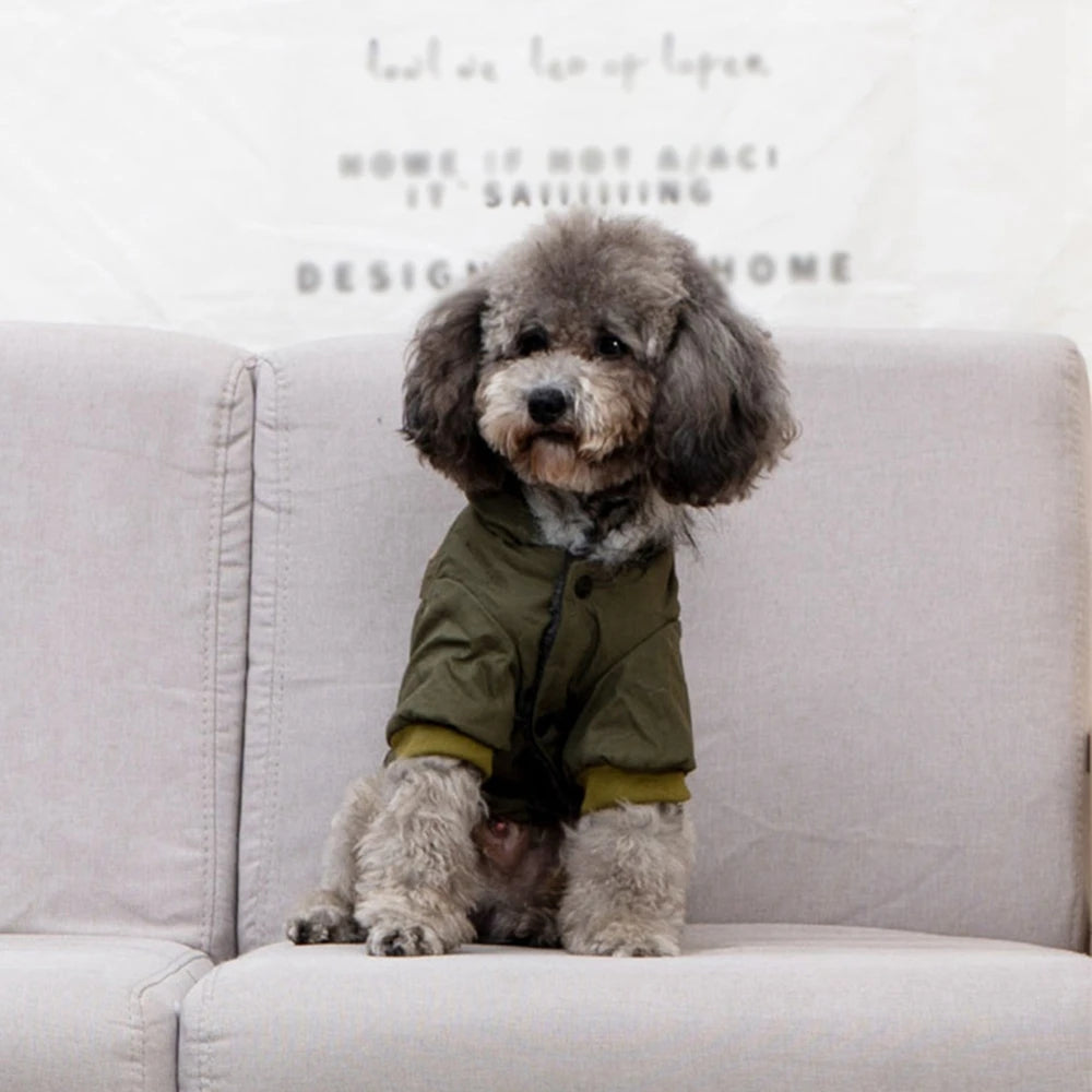 A fluffy grey dog wearing a olive green hooded jacket sitting on a light colored sofa.