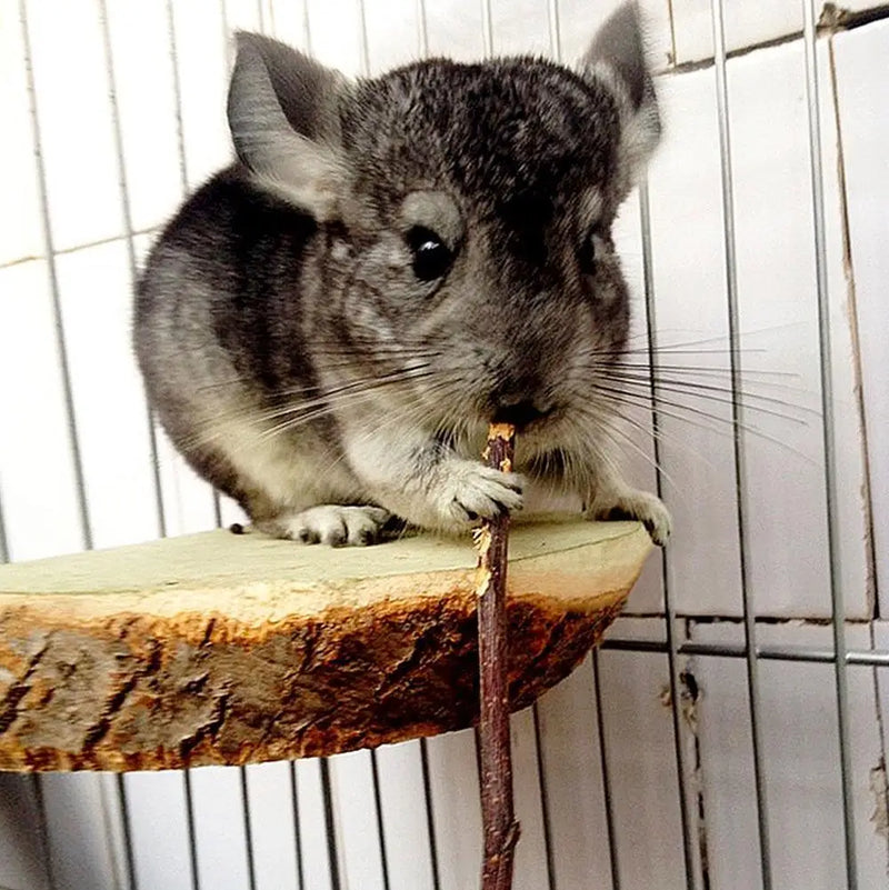 Palos de Morder de Ramas de Manzana Natural para Mascotas Pequeñas