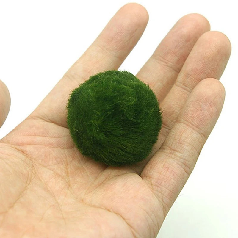 Bola de Musgo Marimo Artificial para Acuario