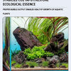 Régulateur CO2 pour Aquarium avec Solénoïde et Compteur de Bulles
