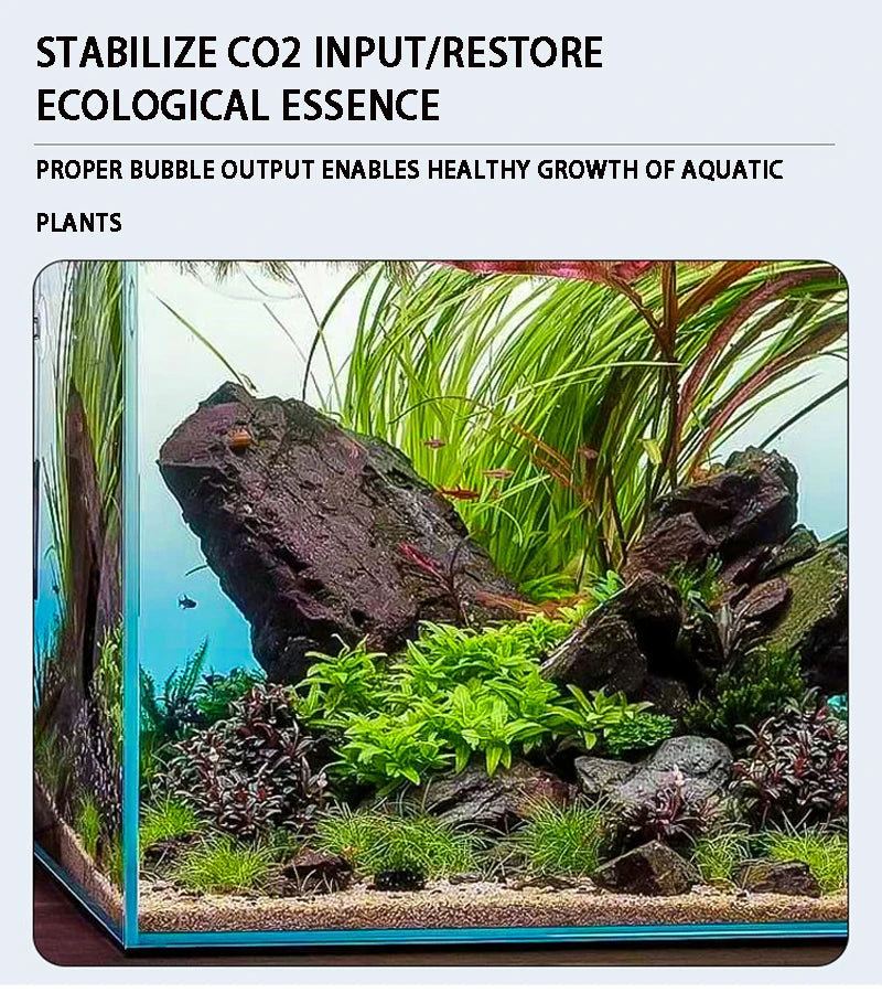 Régulateur CO2 pour Aquarium avec Solénoïde et Compteur de Bulles