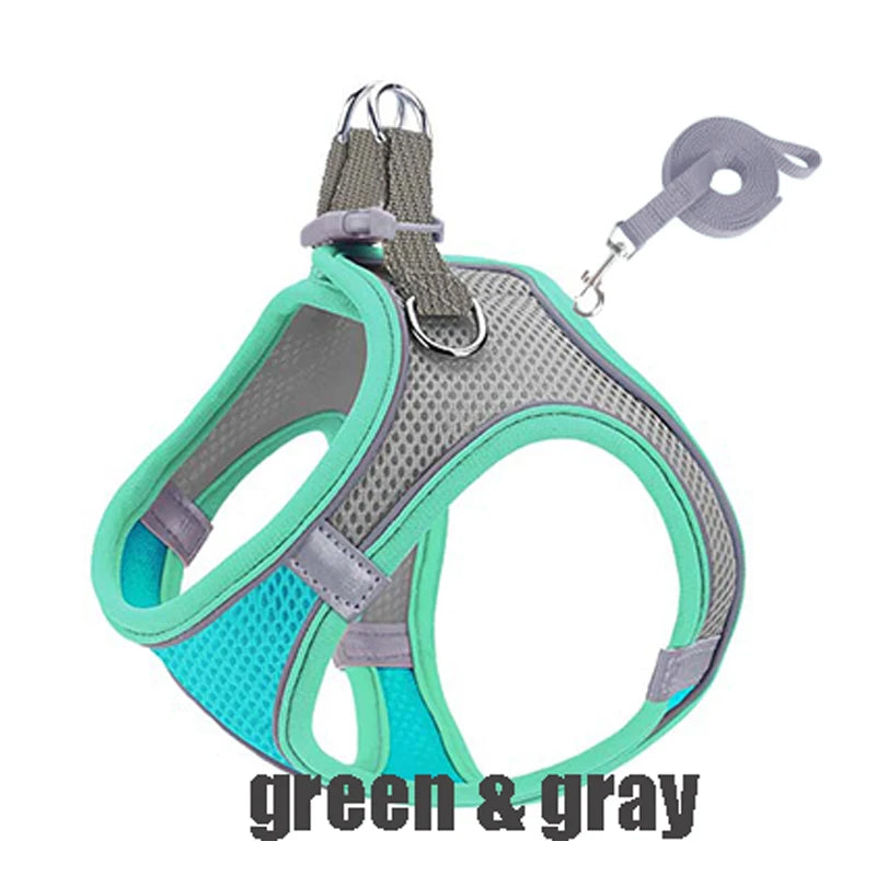 A green and gray reflective no-pull dog harness with a matching leash.