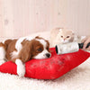 Reusable Lint Roller for Pet Hair & Fabric Cleaning