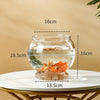 Bassin Transparent en PET pour Poisson Betta