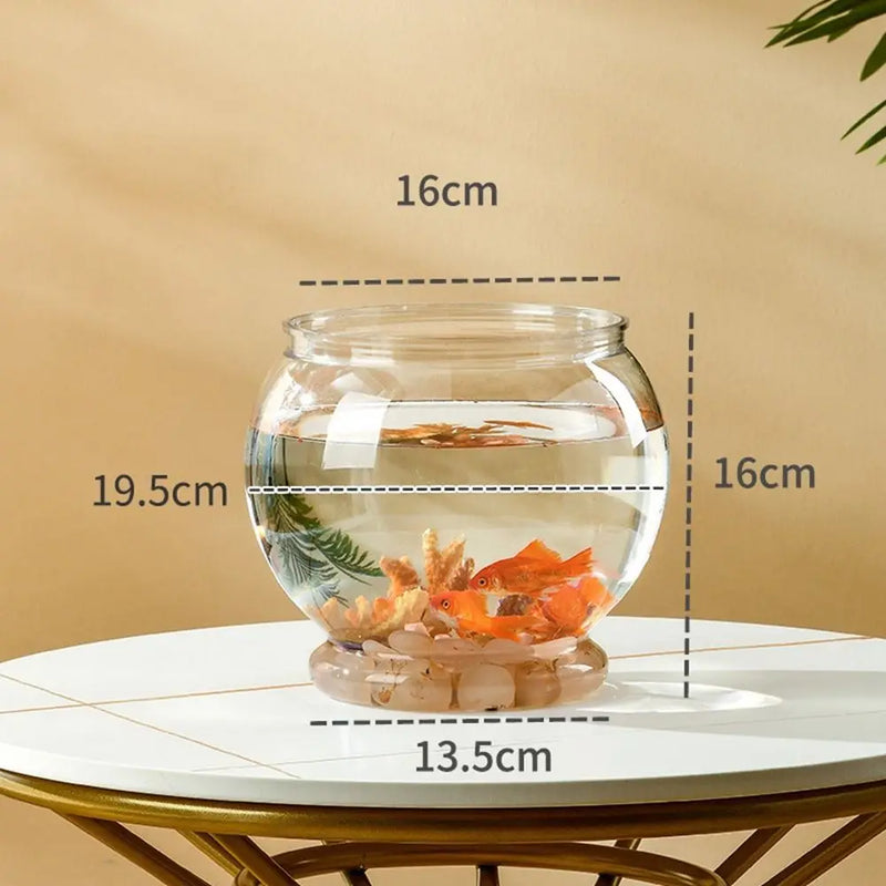 Bassin Transparent en PET pour Poisson Betta
