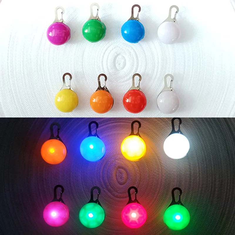 USB Charging Glowing Dog Collar with Pendant - Night Safety