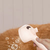 Brosse de toilettage à vapeur pour chiens