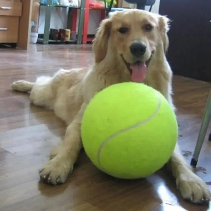 Giant 24cm Inflatable Tennis Ball Dog Toy with Pump