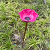 Decorative Flower Bird Feeder and Waterer for Garden