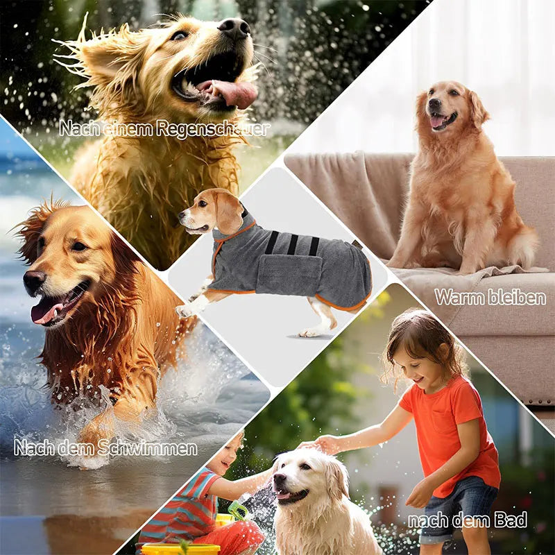 A collage showing dogs enjoying water and a child interacting with a dog, illustrating post-bath care.