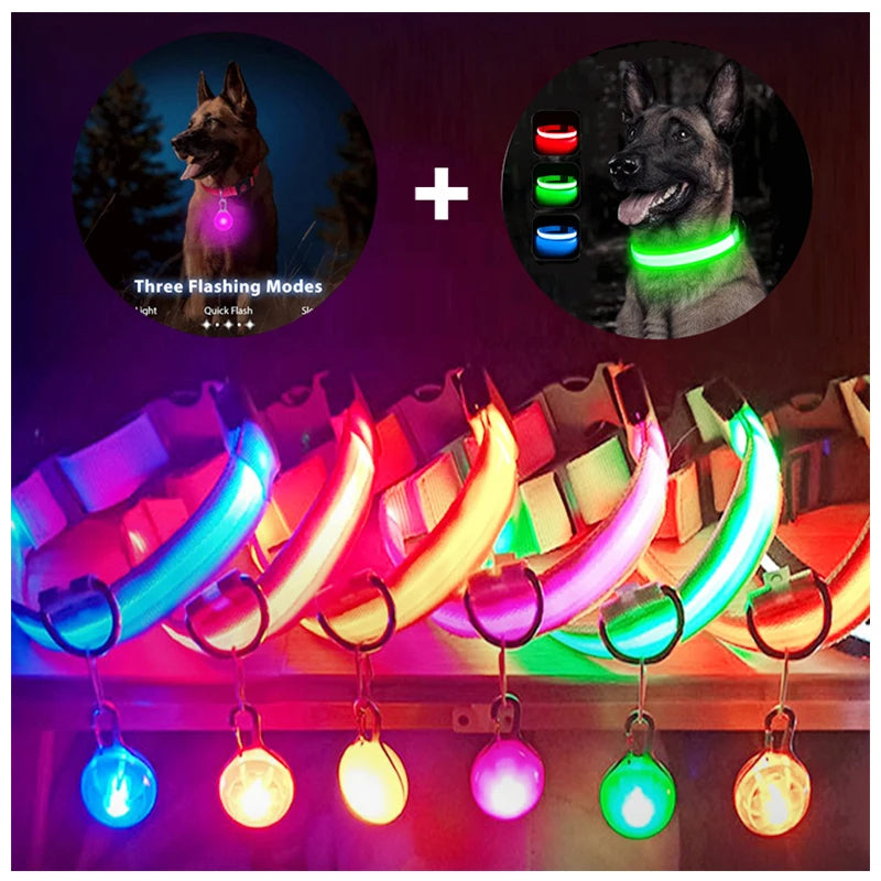 USB Charging Glowing Dog Collar with Pendant