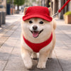 Breathable Pet Sun Hat with Ear Holes and Adjustable Strap