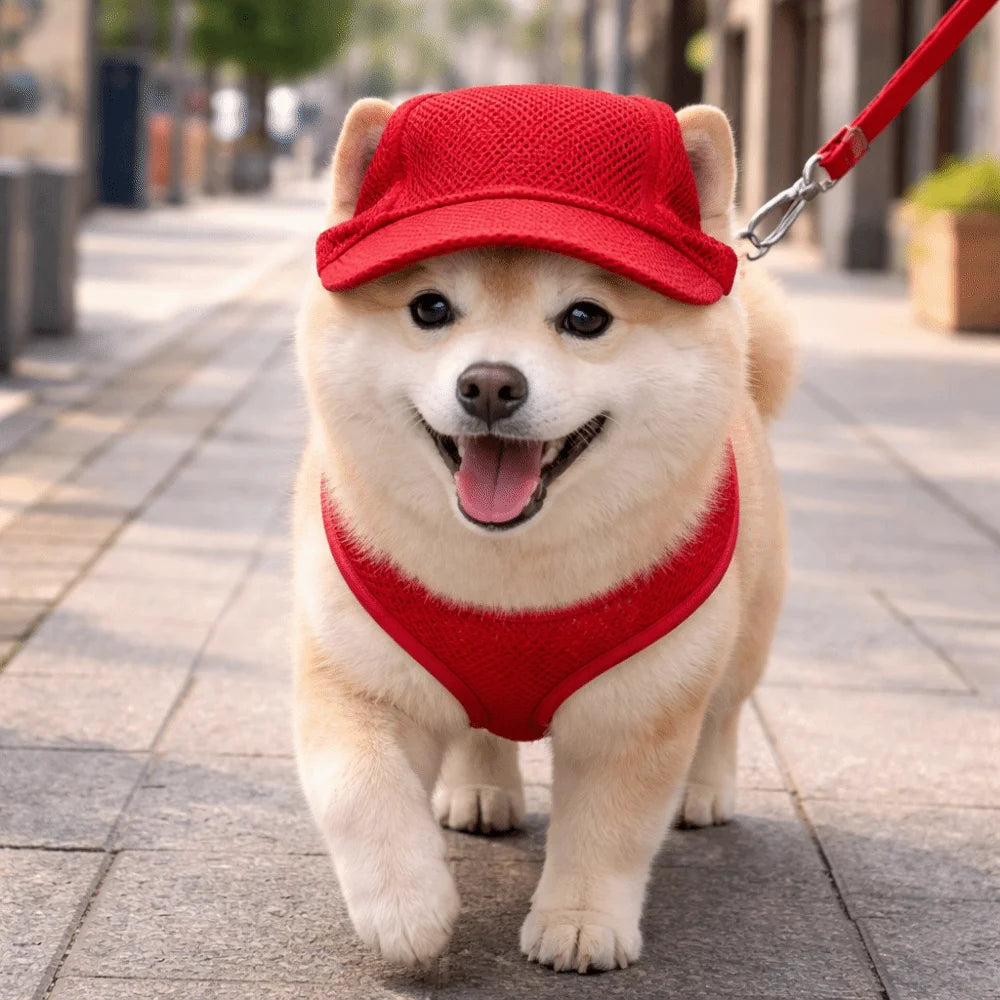 Breathable Pet Sun Hat with Ear Holes and Adjustable Strap