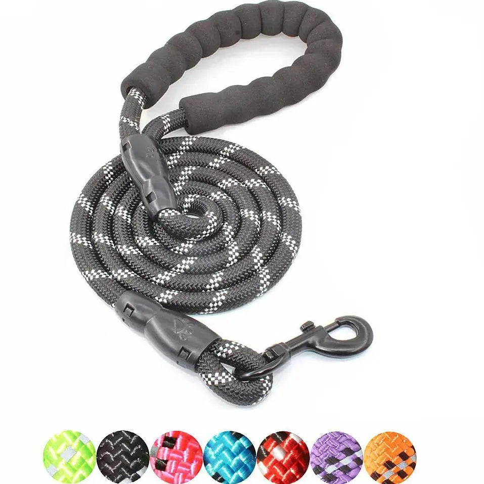 A coiled reflective nylon dog leash with a soft handle and metal clip.