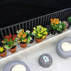 Set of 5 Miniature Potted Plants for Dollhouse Scenes