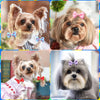 Handmade Dog Bows with Rubber Bands - Polka Dot & Solid Styles