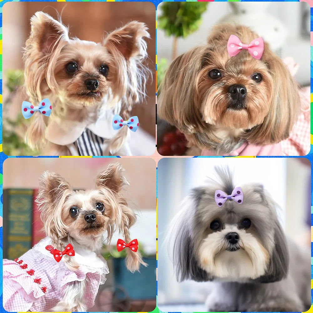 Handmade Dog Bows with Rubber Bands - Polka Dot & Solid Styles