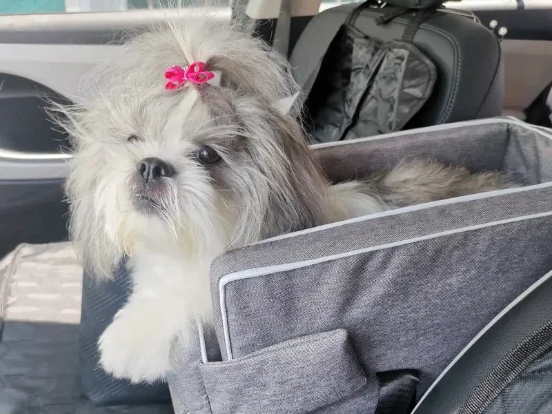 Portable Car Safety Seat for Small Dogs and Cats