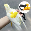 Adjustable Parrot Harness and Leash Set for Small Birds