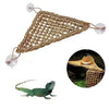 Reptile Hammock Lounger with Swing