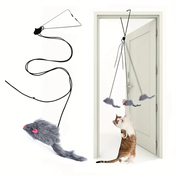 A door-hanging interactive cat toy featuring a black string that leads to a small mouse-like object.