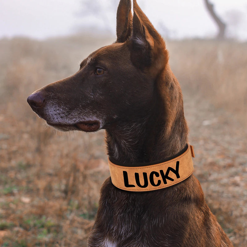 Wide Personalized PU Leather Dog Collar With Custom Name Tag