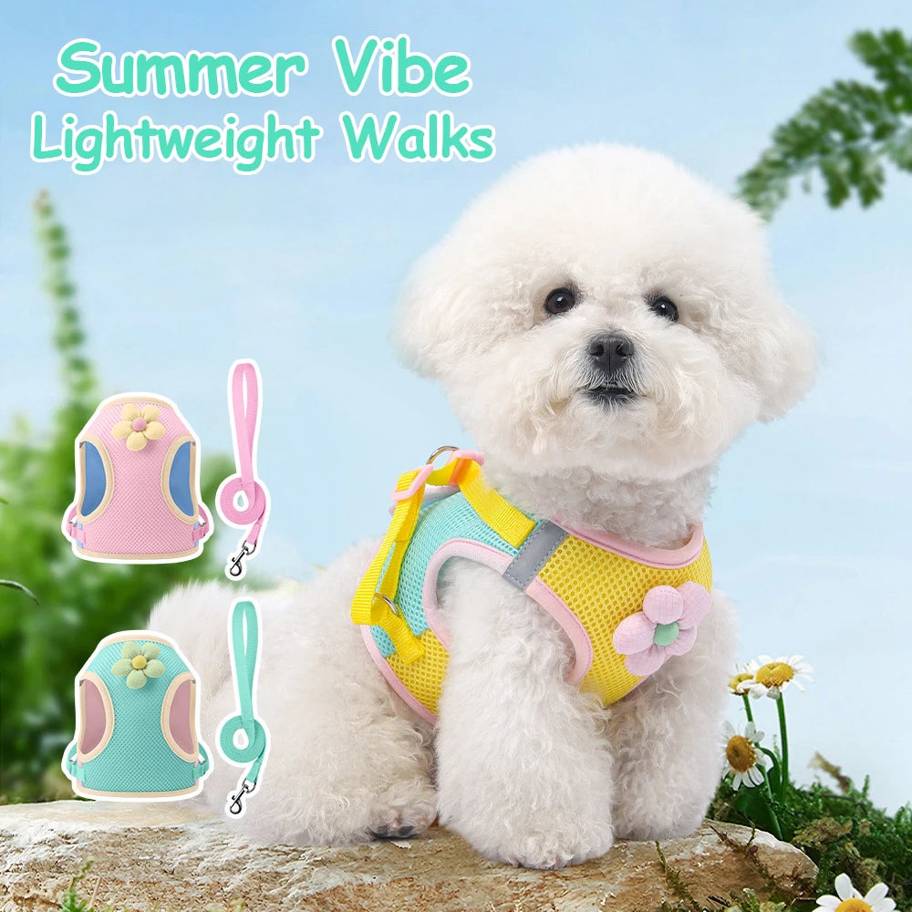 A fluffy white dog wearing a yellow harness and leash, with a pink mesh harness shown separately.