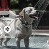 Collier Anti-Aboiements Rechargeable pour Chien