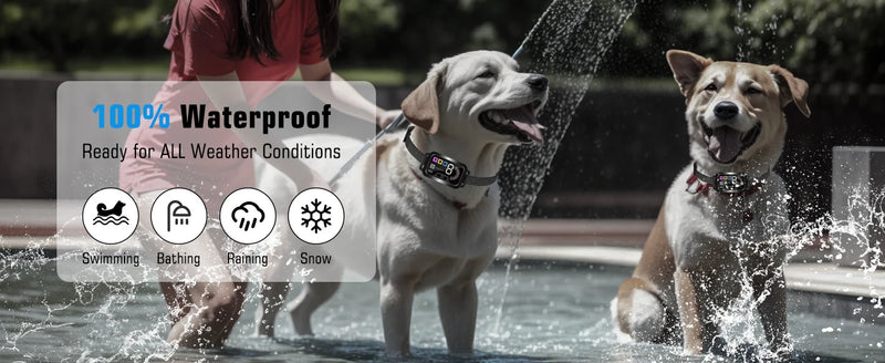 Collier Anti-Aboiements Rechargeable pour Chien
