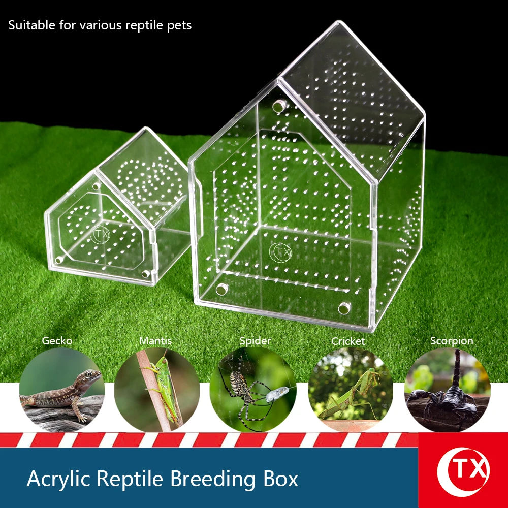 Clear acrylic reptile breeding box with multiple compartments suitable for various pets like geckos, mantises, spiders, crick