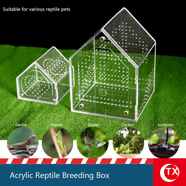 Clear acrylic reptile breeding box with multiple compartments suitable for various pets like geckos, mantises, spiders, crick