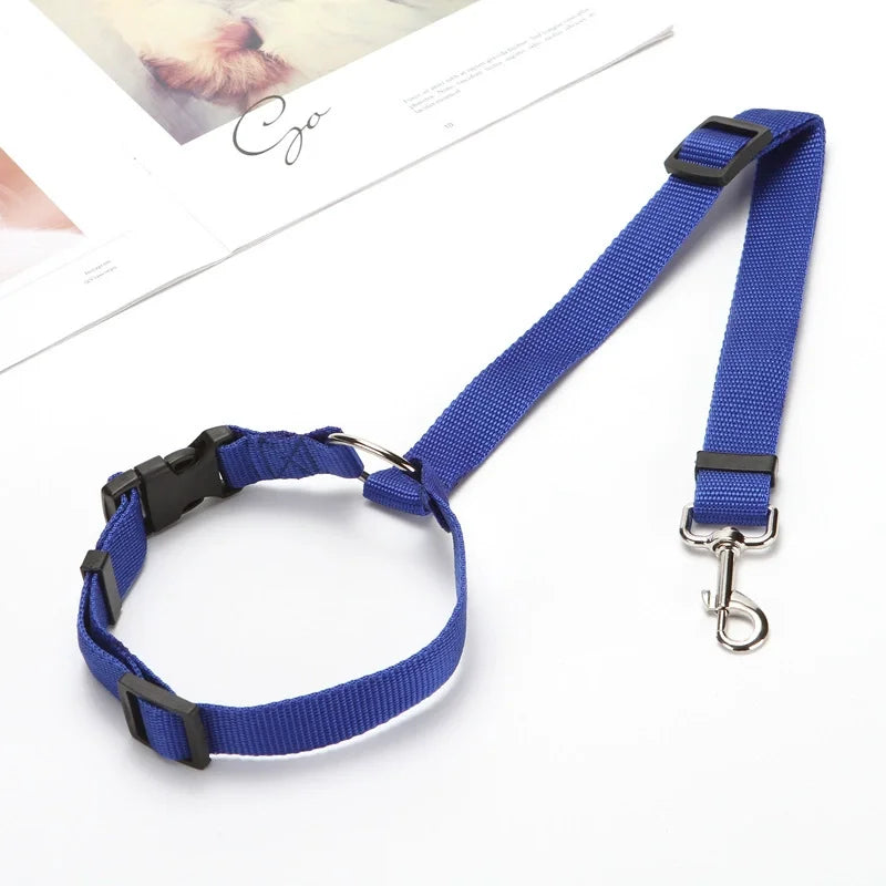 A blue 2-in-1 adjustable car safety belt and leash for a small dog is displayed on a white background.