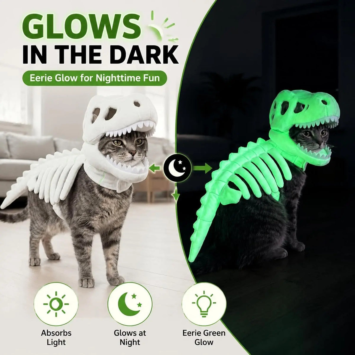 A black cat wearing a glowing green dinosaur skeleton costume, demonstrating how it glows in the dark.