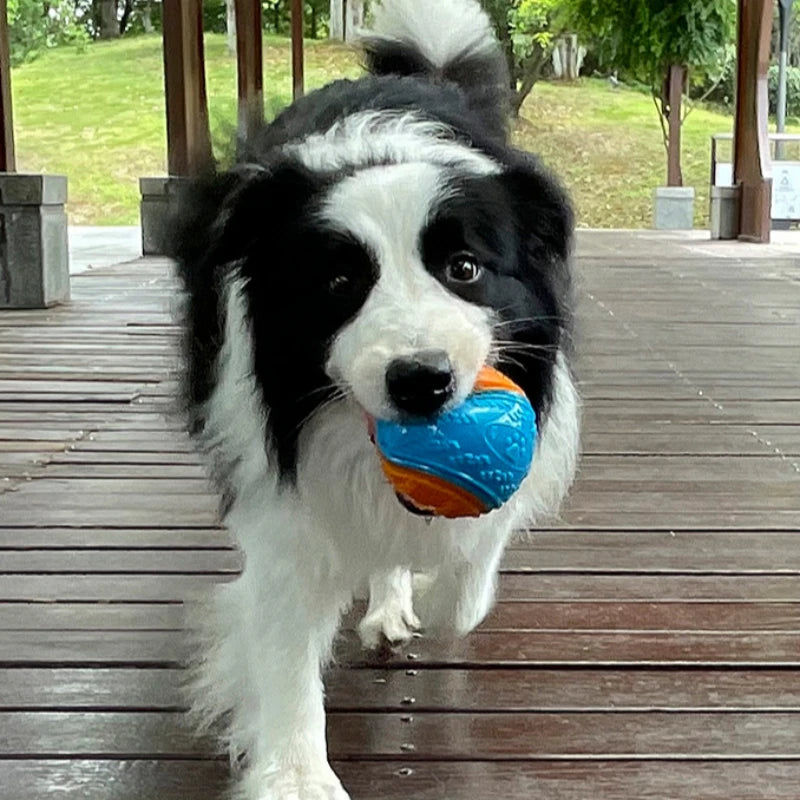 Weicher TPR-Squeaky-Hundeball