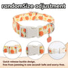 Halloween Pumpkin Print Dog Collar – Breathable & Safe Buckle