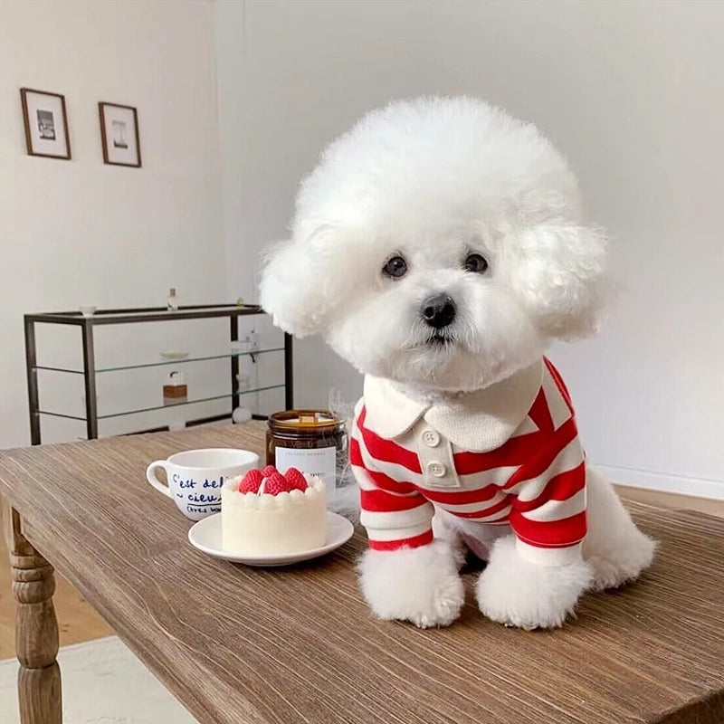 Summer Dog Polo Shirt With Stripe Cooling Vest