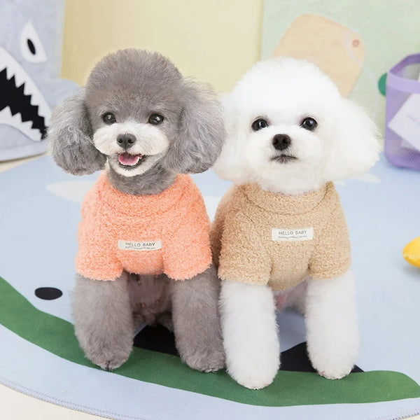 Two plush dogs wearing knitted winter sweaters, one gray and one white, sitting on a light blue surface.