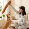 Squeaky Sausage Plush Chew Toy for Dogs