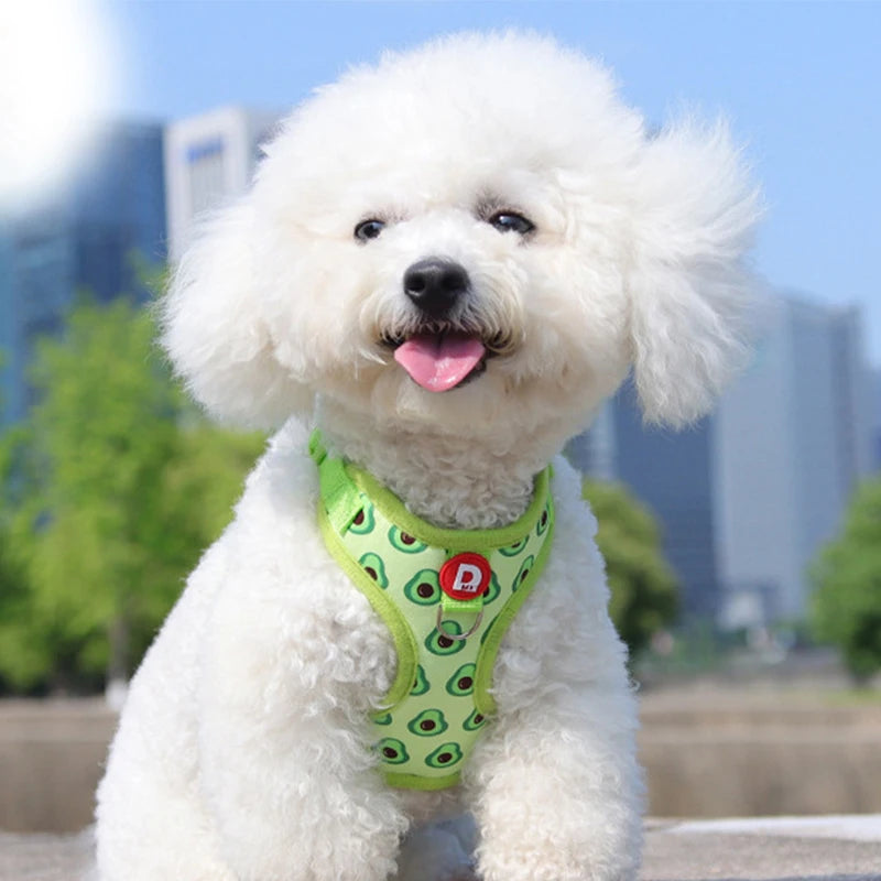 Strawberry Print Dog Harness and Leash Set