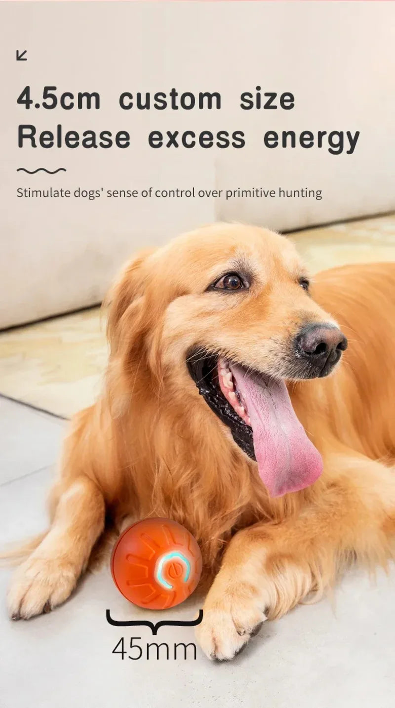 Interaktiver smarter Hundespielball