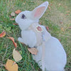 Adjustable Linen Rabbit Harness and Leash Set with Padded Comfort