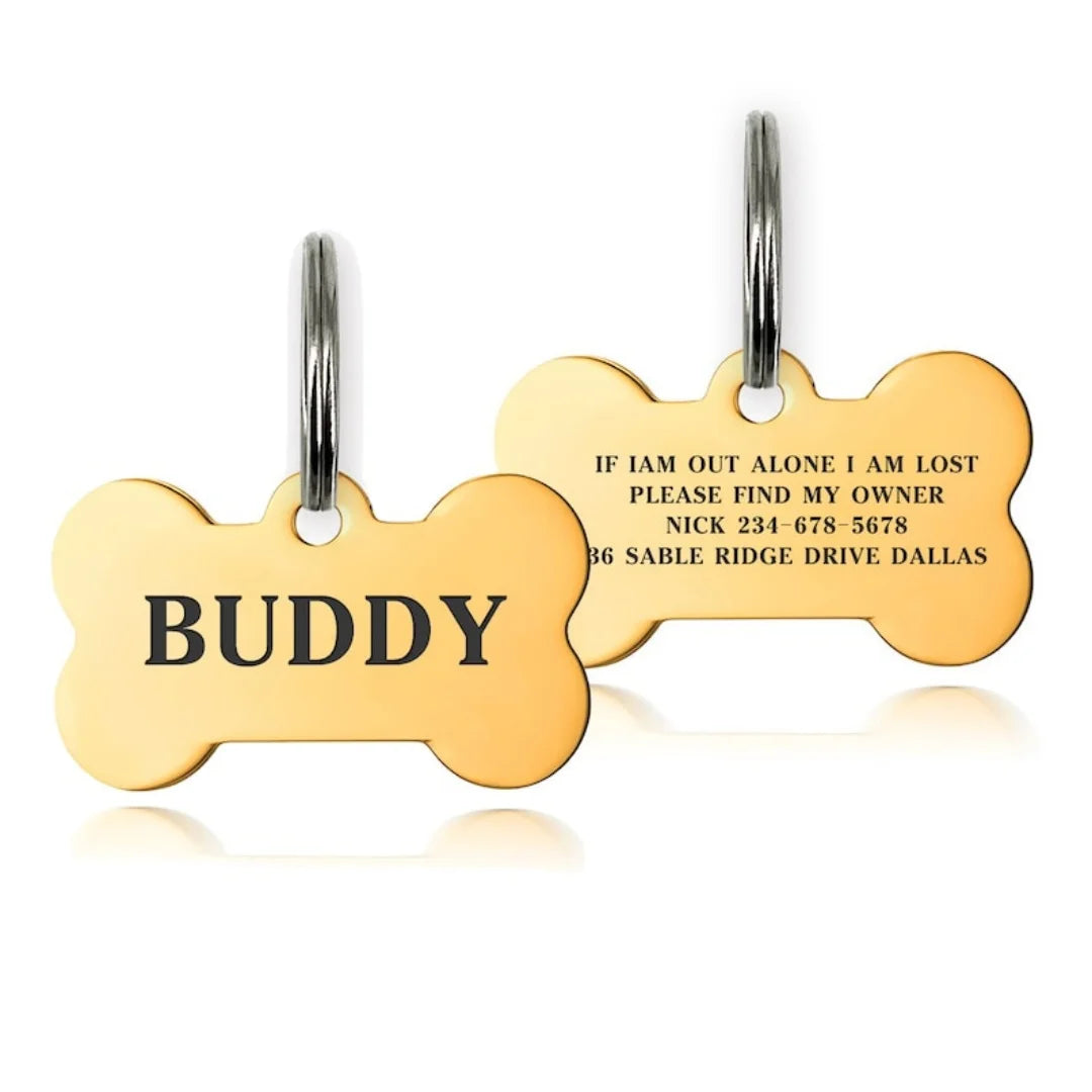 Gold-colored stainless steel bone shaped pet ID tag engraved with the name BUDDY and contact information