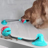 Interactive Suction Cup Dog Chew Toy for Dental Health & Play