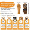 A guide showing measurements for dog paw protection socks sizes XS to XL, including paw width and sock length.