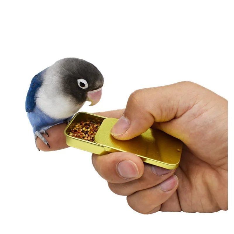 A hand is holding a gold-colored ergonomic parrot training treat dispenser, with a small pet bird near it.